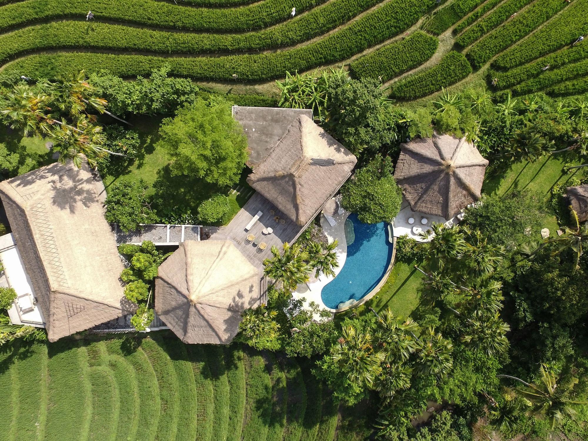 Planta Boutique Resort Canggu Eksteriør billede